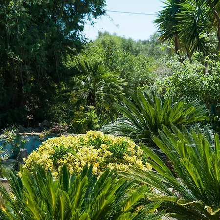 Villa Conchita *
